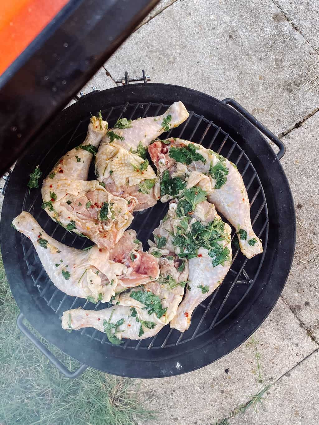 coriander and lime chicken